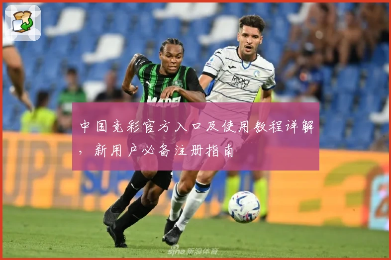 中国竞彩官方入口及使用教程详解，新用户必备注册指南