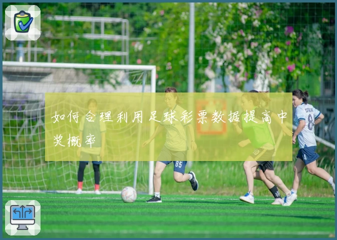 如何合理利用足球彩票数据提高中奖概率