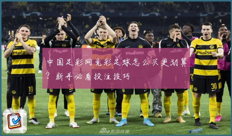 中国足彩网竞彩足球怎么买更划算？新手必看投注技巧